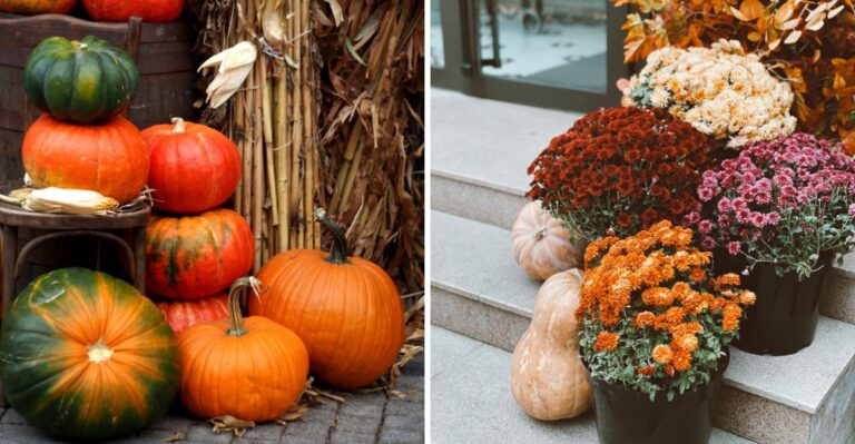 Fall Porch Decor From Your Own Garden In New Jersey