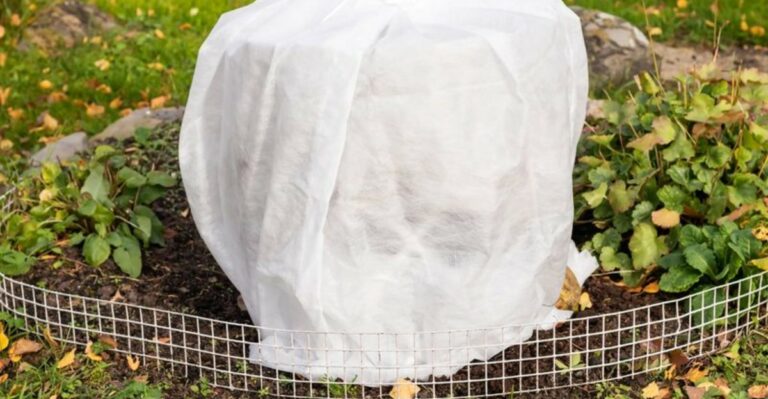How To Cover Your Plants Before This Weekend’s Ohio Frost (And The Cover That Makes It Worse)
