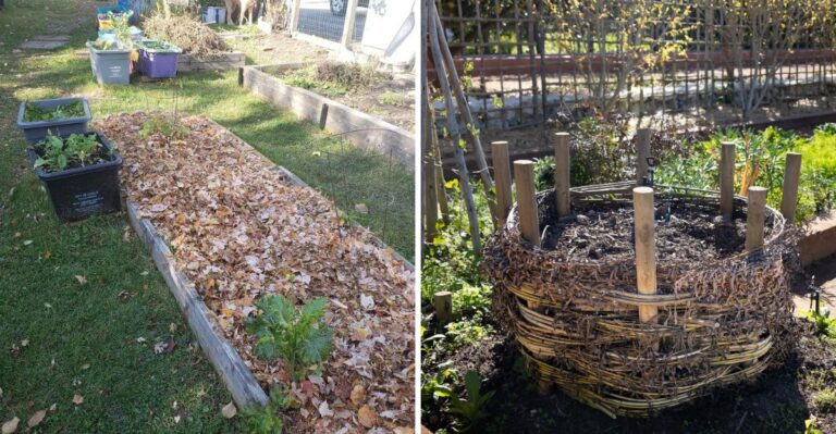 How To Turn Fallen Leaves Into Free Garden Gold