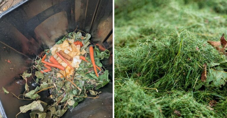 7 Things You Should Keep Out Of Your Compost Pile This Fall In Pennsylvania