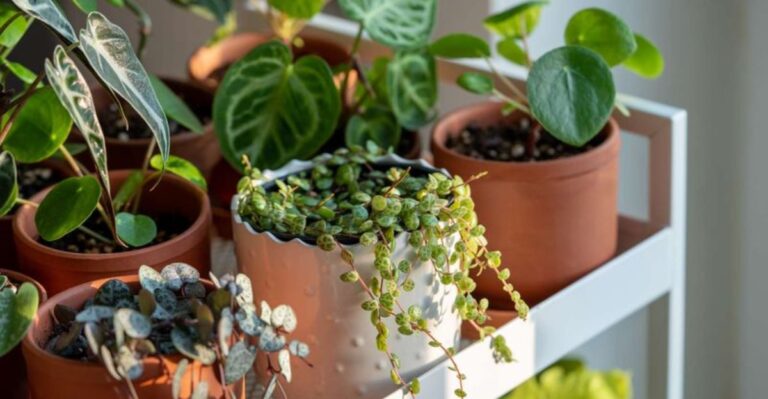 The Easy Humidity Trick Ohio Homes Need In Winter