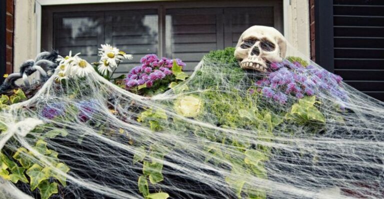 That Fake Spiderweb Decoration Could Be Trapping Wildlife In Your New York Yard