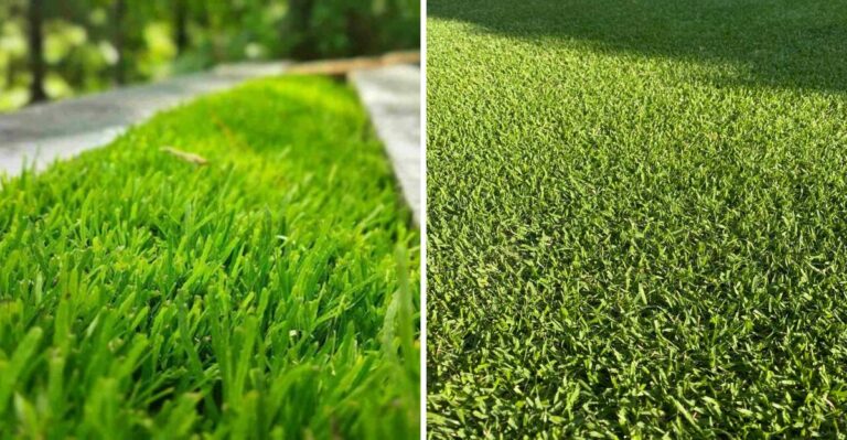 When To Overseed Your Alabama Lawn This Fall Depending On Where You Live And What Grass You Have