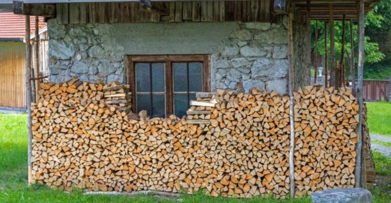 That Neatly Stacked Firewood Next To Your Indiana Home Might Already Have Residents