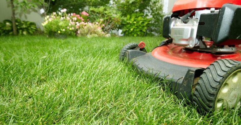 This November Task Can Help Georgia Fescue Lawns Grow Thicker Next Spring