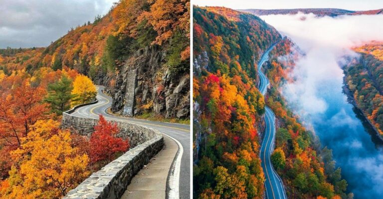Why New York’s Fall Foliage Won’t Follow The Usual Road Trip Timing This Year