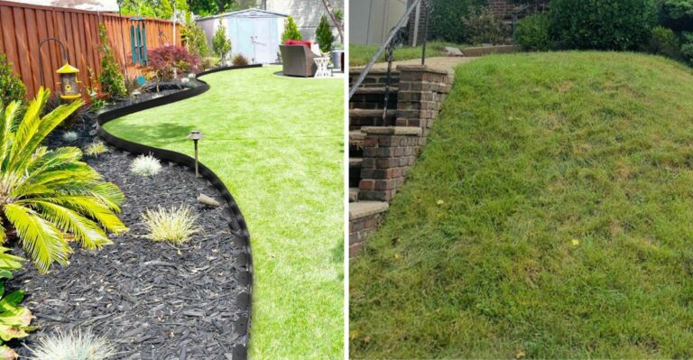 Why California Gardeners Should Rethink Lawn Edges Before Replacing Turf