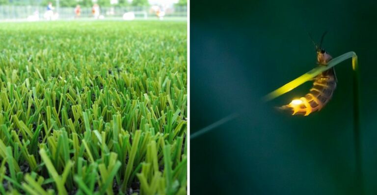 Why Artificial Turf Is Quietly Hurting Pennsylvania Yard Wildlife