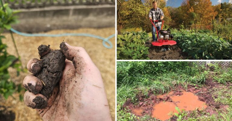 Tilling An Indiana Garden In Fall Can Help Or Hurt Depending On How Wet The Soil Is