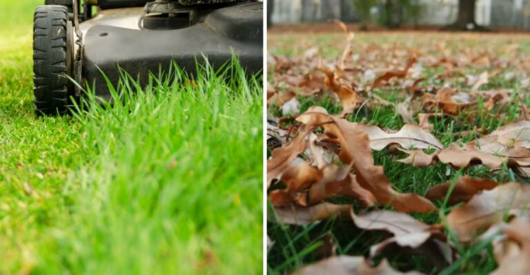 9 Fall Lawn Mistakes That Lead To Spring Problems In Pennsylvania