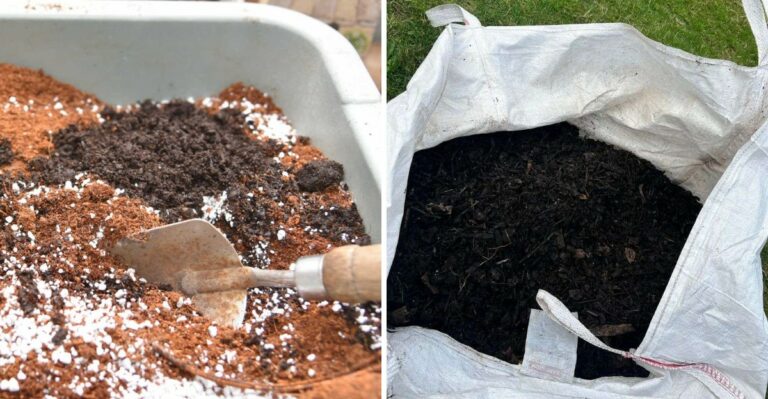 The 3-Ingredient Potting Mix Ohio Gardeners Swear By