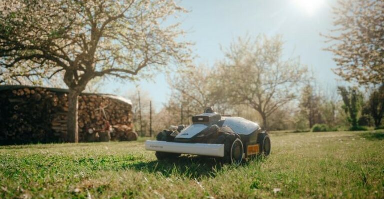 When To Stop Mowing Your Virginia Lawn This Fall