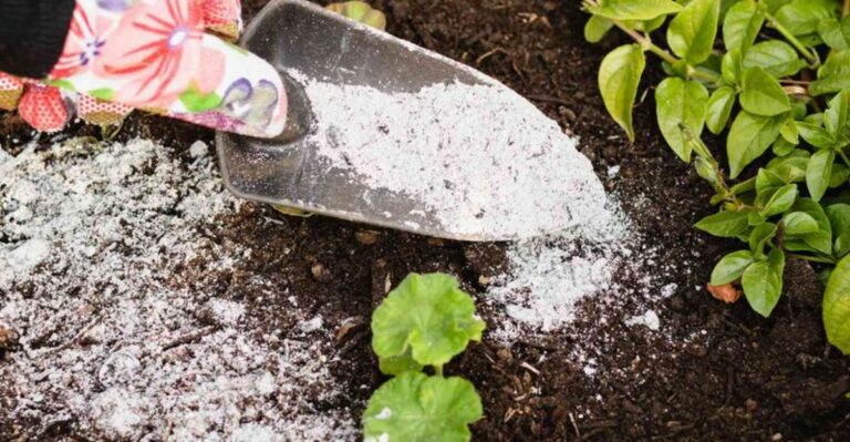 8 Ways To Use Wood Ash In The Garden (And 4 Places To Avoid It)