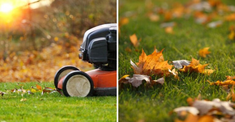 Is It Too Late To Mow Your Ohio Lawn In November? What To Do If It’s Still Growing