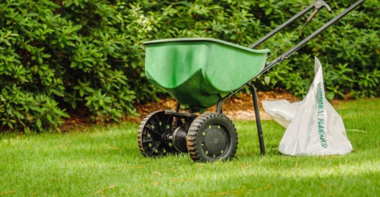 October Lawn Care Comes Down To One Step That Shapes Your Grass Next Year