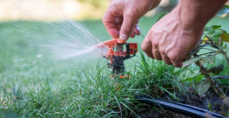 Should You Keep Watering Your Ohio Lawn In October?