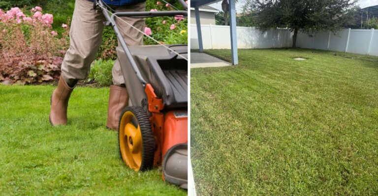 This Is When To Stop Mowing Your Texas Lawn