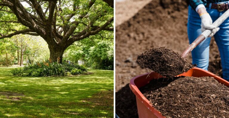 Why Grass Struggles To Grow In Pennsylvania Soil (And How To Fix It)