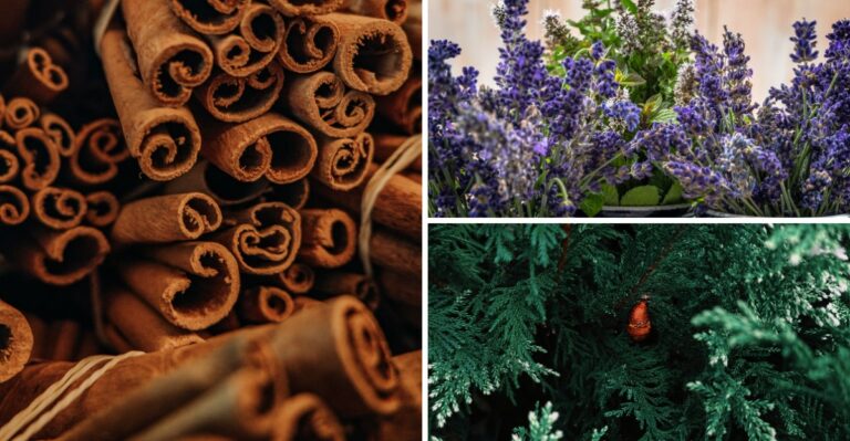 Deter Spiders From Your New York House This Fall With These 8 Smells