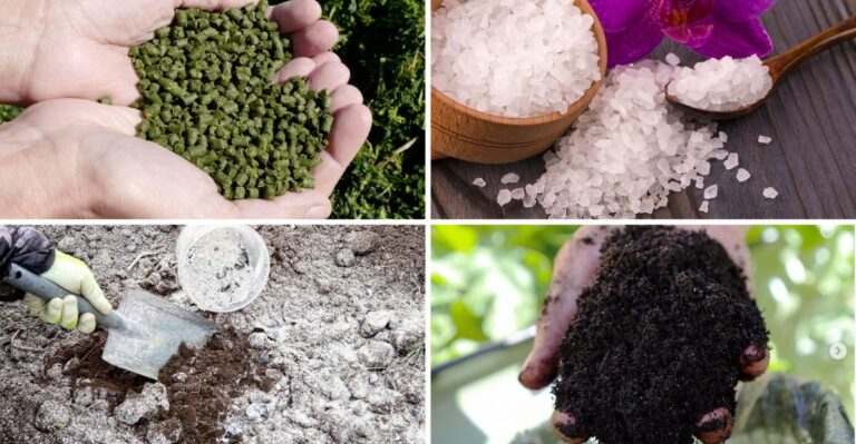 Single-Ingredient Fertilizers That Work Wonders On Peppers