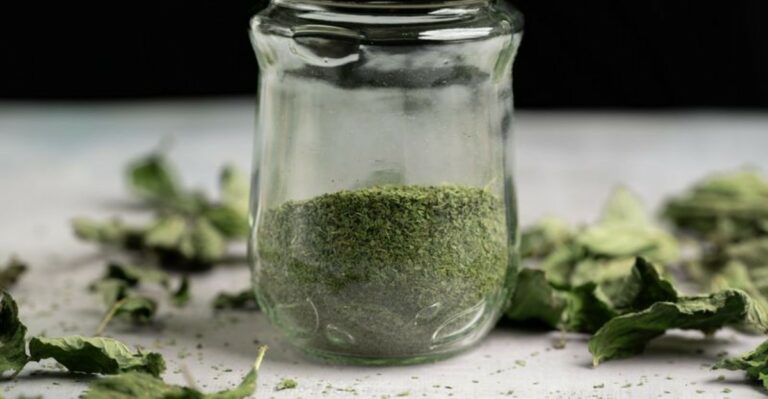 The Best Way To Dry And Freeze Your North Carolina Herbs Before Winter Sets In