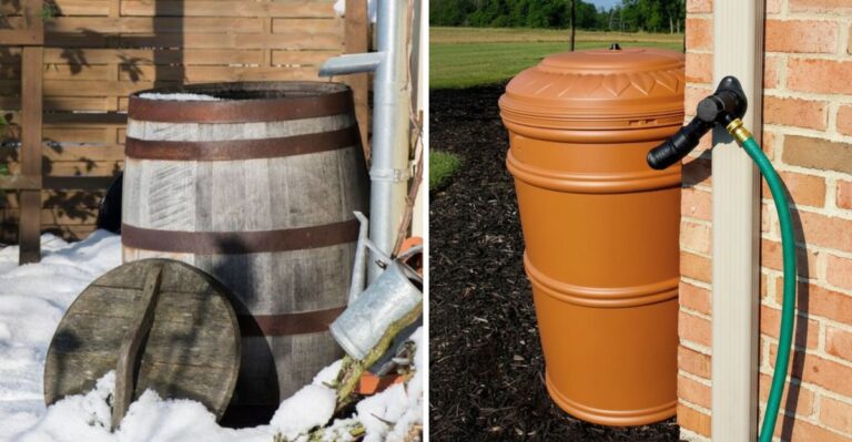 How To Winterize A Rain Barrel Before Ohio’s First Freeze