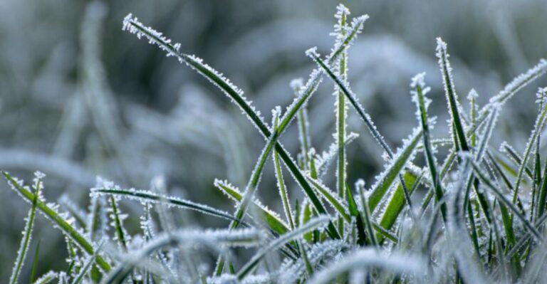 Why Southwest Virginia Mountain Yards Get Frost Weeks Before The Rest Of The State
