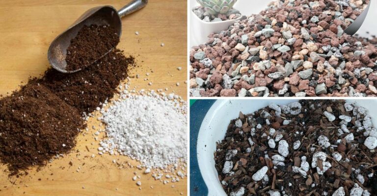 Is Your Potting Mix Setting Up Root Rot? Here Are 8 Additions Missouri Gardeners Can Mix In Before Winter