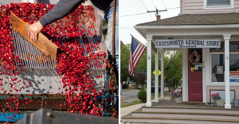 Driving Through The New Jersey Pine Barrens In October? Follow The Cranberry Trail