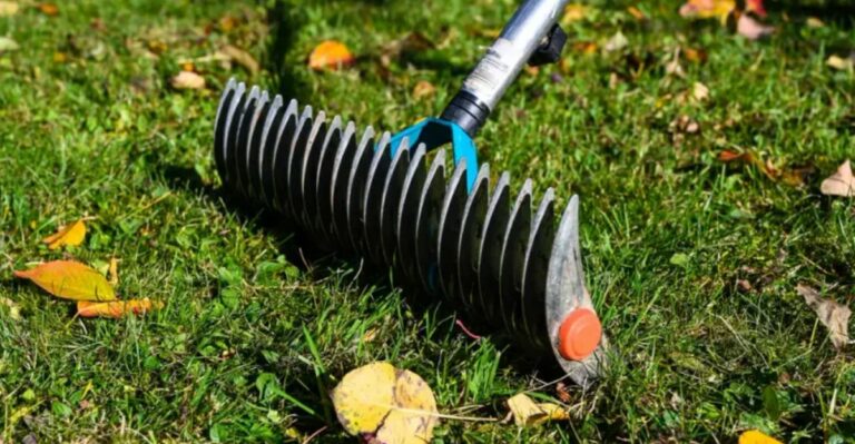 The Right Way To Dethatch A Lawn Using Just A Rake