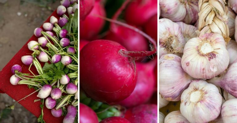 8 Vegetables Alabama Gardeners Can Still Plant After October Begins