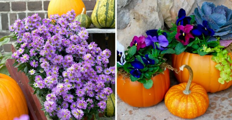 These Pennsylvania Plants Look Beautiful With Pumpkins