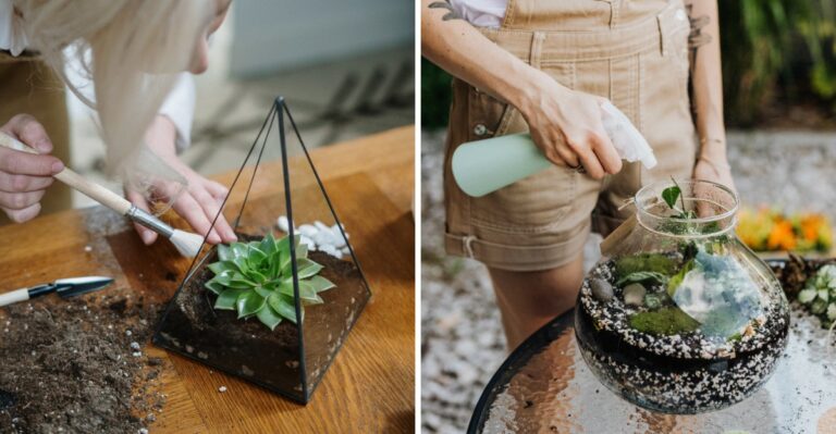 How To Build A Mini Terrarium Garden In An Afternoon