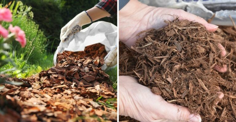 The One Thing You Must Do To Texas Beds Before The First Freeze
