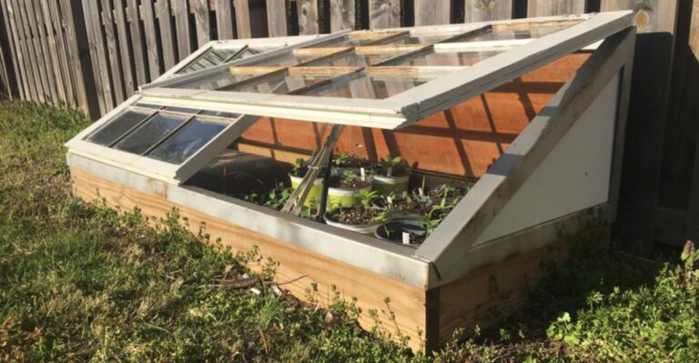 How To Build A Cold Frame Before The First Frost Reaches North Carolina