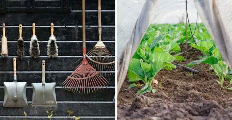 10 Steps To Get Your Vegetable Garden Ready For Winter And Boost Next Year’s Harvest