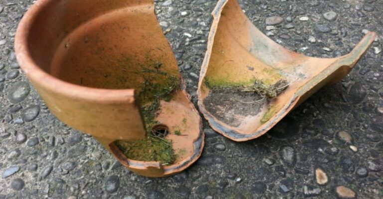 The Terra-Cotta Pot Mistake That Cracks Ohio Planters Every Winter