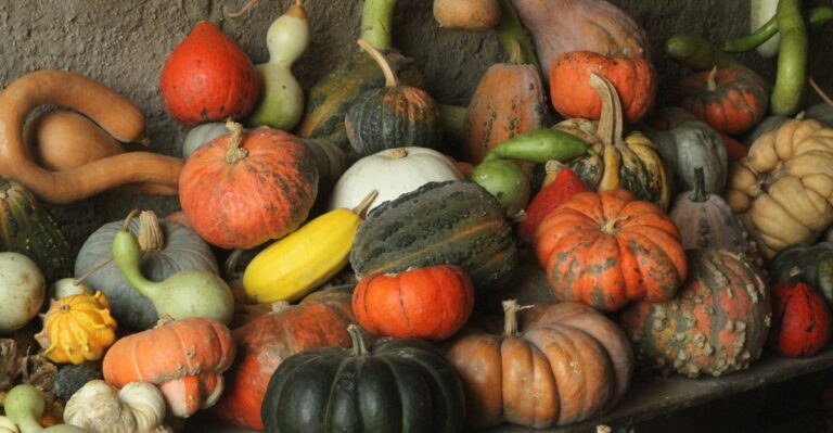 The Right Way To Store Winter Squash So It Lasts For Months