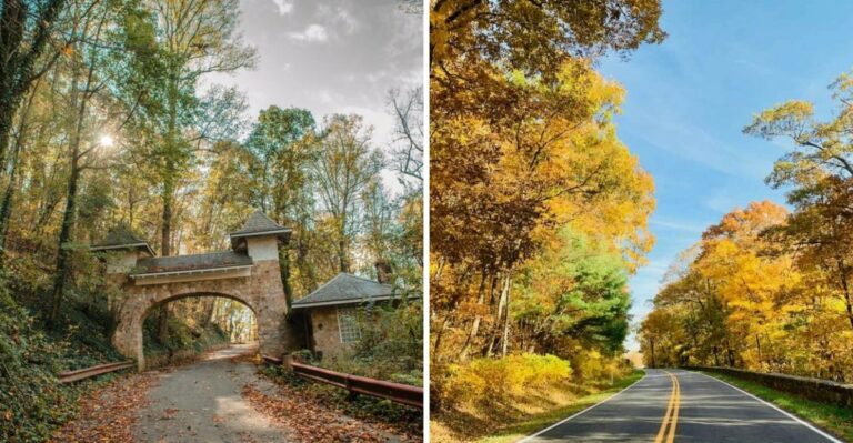 The Blue Ridge Foliage Peak Weeks Every Virginia Homeowner Should Bookmark