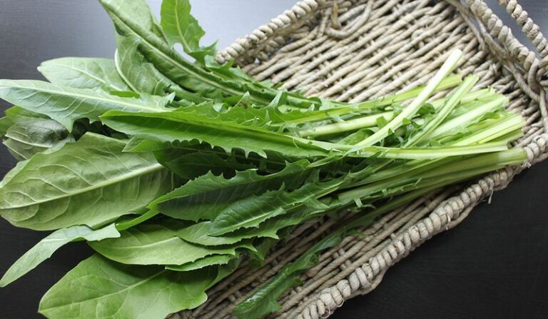 Dandelion Greens vs. Kale: What the USDA Calcium Numbers Really Show