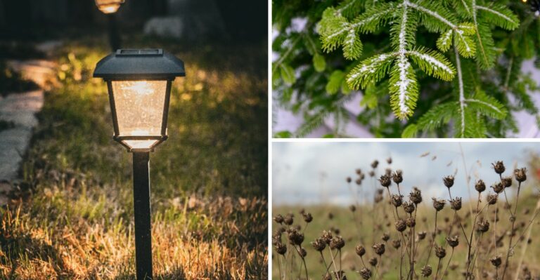 Simple Ways Pennsylvania Gardeners Can Brighten Winter Gardens