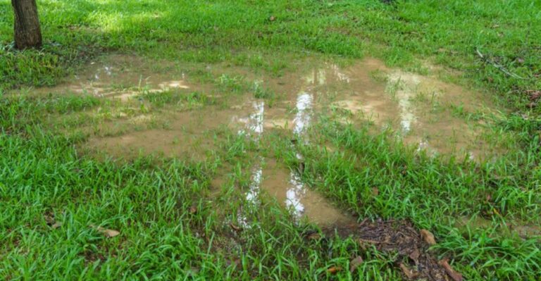 Why Your California Yard Floods In The Same Spot Every Time It Rains