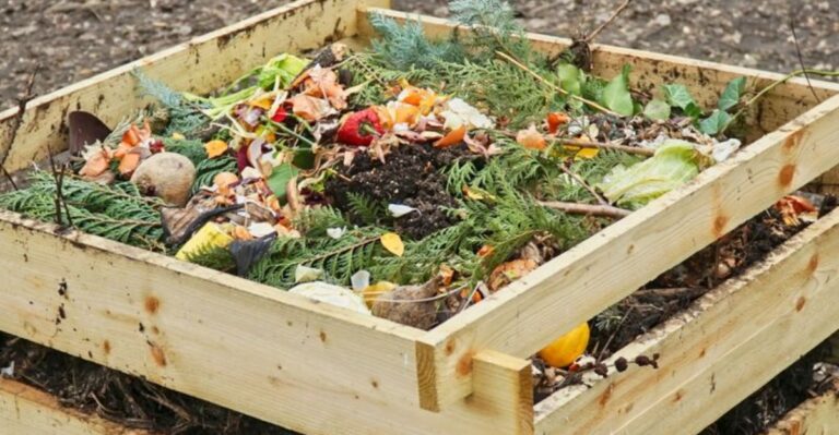 8 Compost Pile Mistakes To Avoid Once Michigan Temperatures Drop