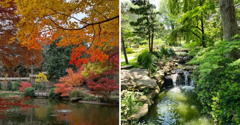 Why Texas Fort Worth Botanic Garden Is Worth The Fall Drive