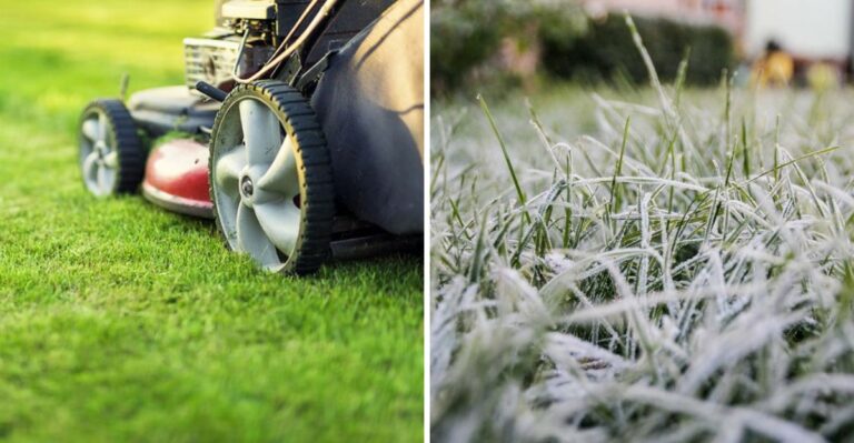 This Is When To Stop Mowing Your Pennsylvania Lawn