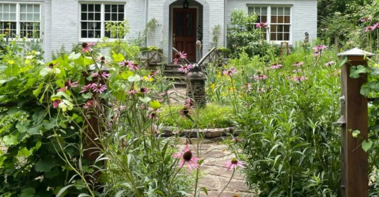 The St. Louis County Rule Missouri Native Gardeners Should Know