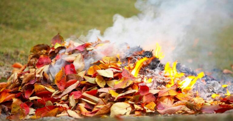 What California Law Actually Says About Burning Leaves In Your Backyard