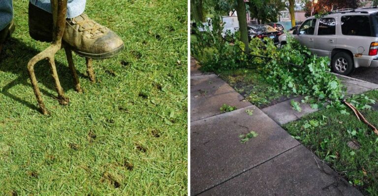 What It Means When Your Georgia Lawn Browns In Patches After Storms