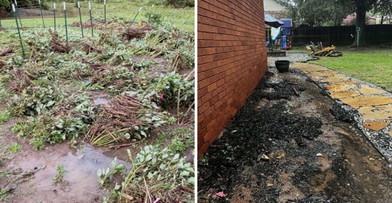 Is Your North Carolina Garden Soil Safe to Grow Food In After Flooding?