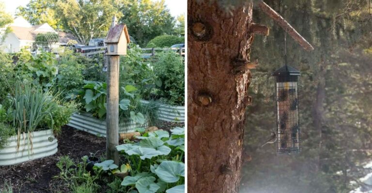 The Spots Where You Should Never Hang A Bird Feeder In Michigan Right Now
